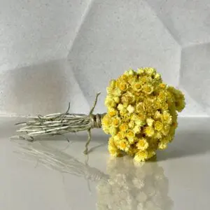 Votre bouquet d'Immortelle