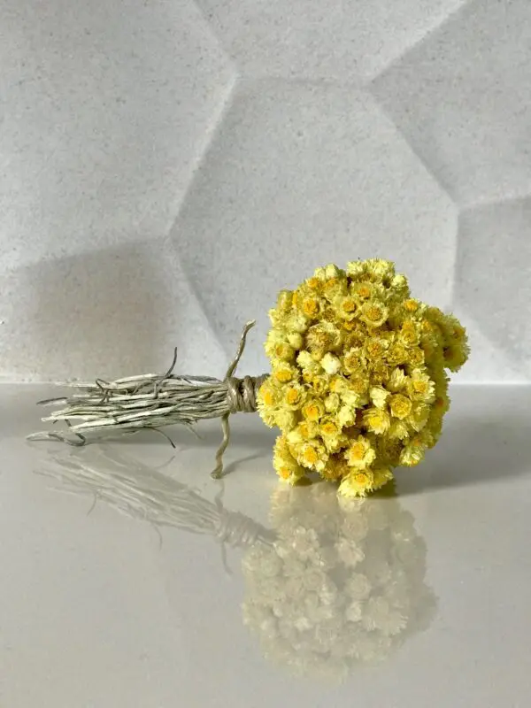 Votre bouquet d'Immortelle
