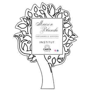 Institut Maison Blanche