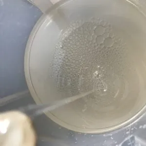 eau florale clémentinier